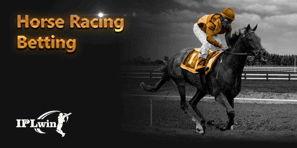 Bet365 pa